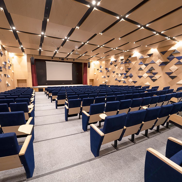 Qassim University Unaizah Big Auditoriums 2x Room