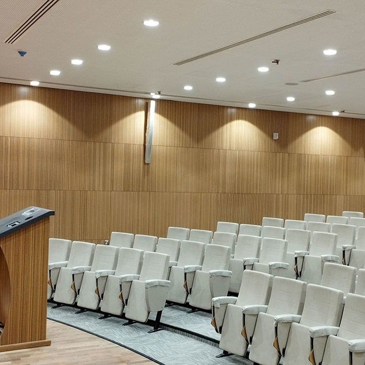 Unaizah College of Engineering Lecture Hall