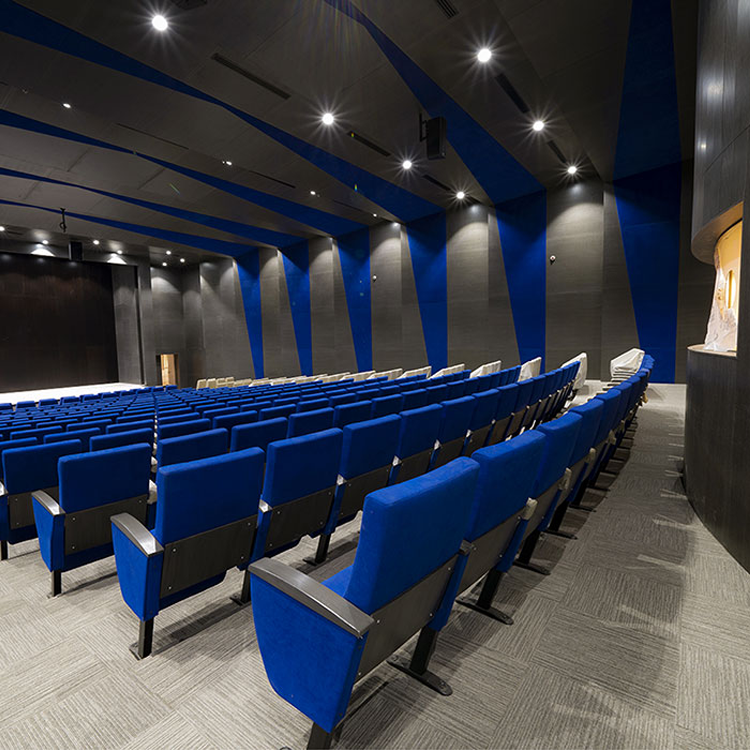 Unaizah College of Medicine Mens Campus Big Auditorium